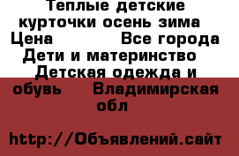 Теплые детские курточки осень-зима › Цена ­ 1 000 - Все города Дети и материнство » Детская одежда и обувь   . Владимирская обл.